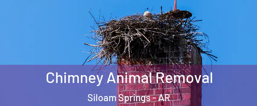  Chimney Animal Removal Siloam Springs - AR