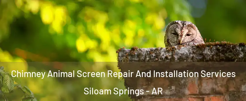  Chimney Animal Screen Repair And Installation Services Siloam Springs - AR
