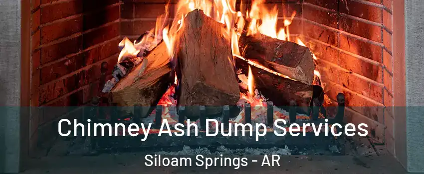  Chimney Ash Dump Services Siloam Springs - AR