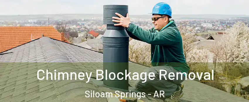  Chimney Blockage Removal Siloam Springs - AR