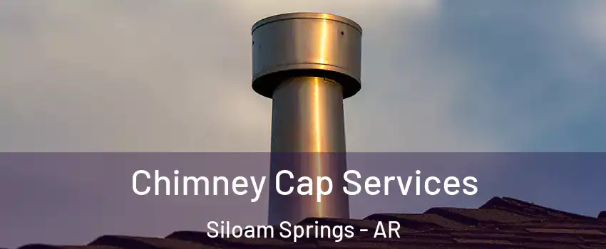  Chimney Cap Services Siloam Springs - AR
