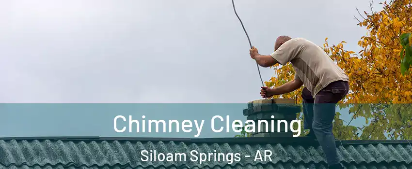  Chimney Cleaning Siloam Springs - AR