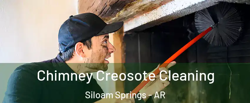  Chimney Creosote Cleaning Siloam Springs - AR