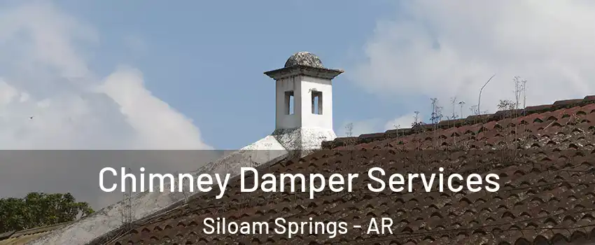  Chimney Damper Services Siloam Springs - AR