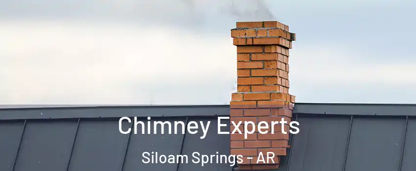  Chimney Experts Siloam Springs - AR