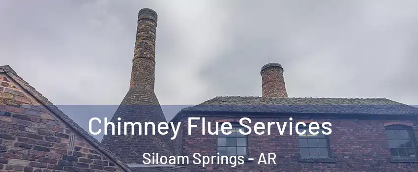  Chimney Flue Services Siloam Springs - AR