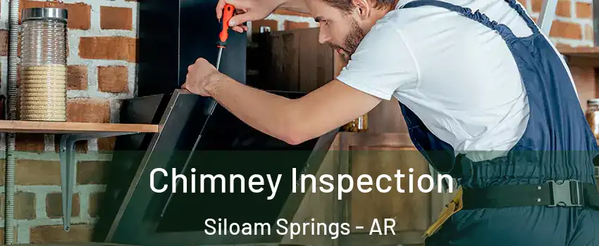  Chimney Inspection Siloam Springs - AR