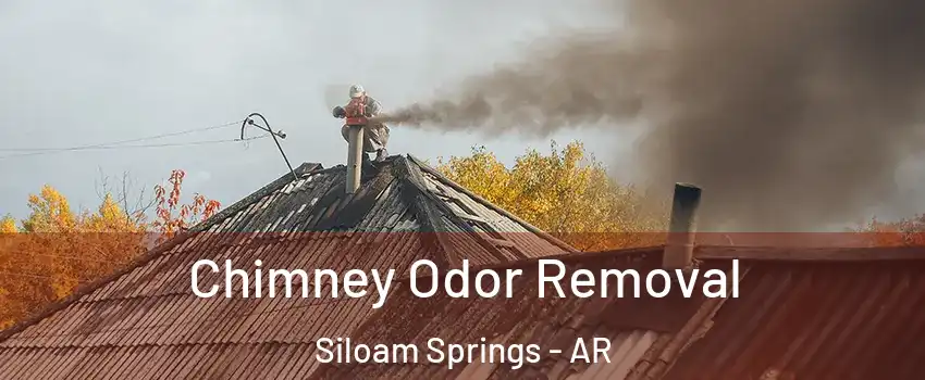  Chimney Odor Removal Siloam Springs - AR
