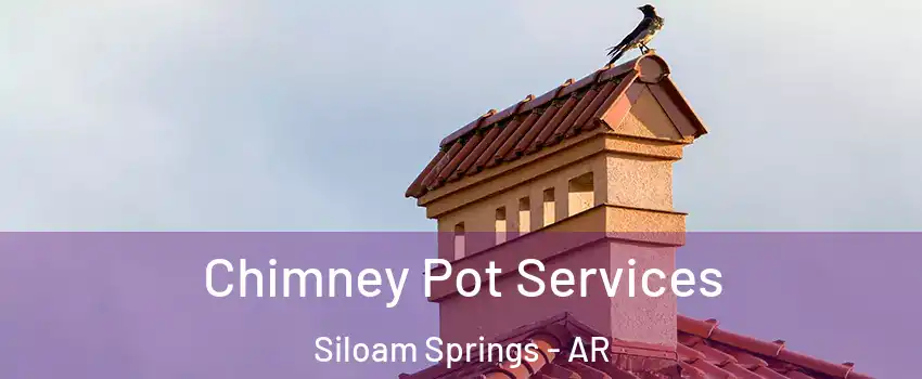  Chimney Pot Services Siloam Springs - AR