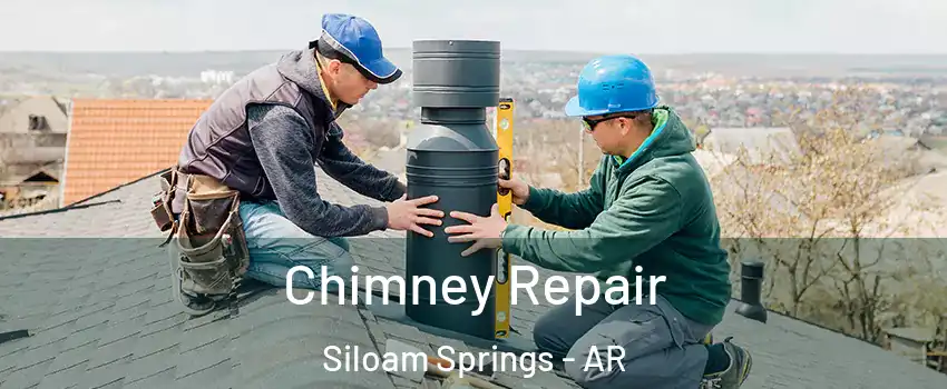  Chimney Repair Siloam Springs - AR
