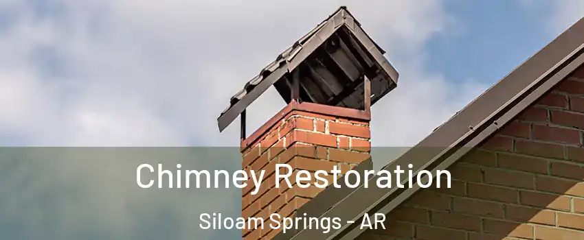  Chimney Restoration Siloam Springs - AR