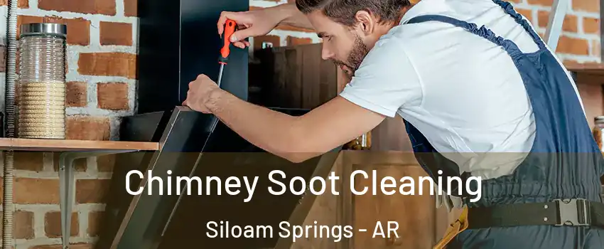  Chimney Soot Cleaning Siloam Springs - AR