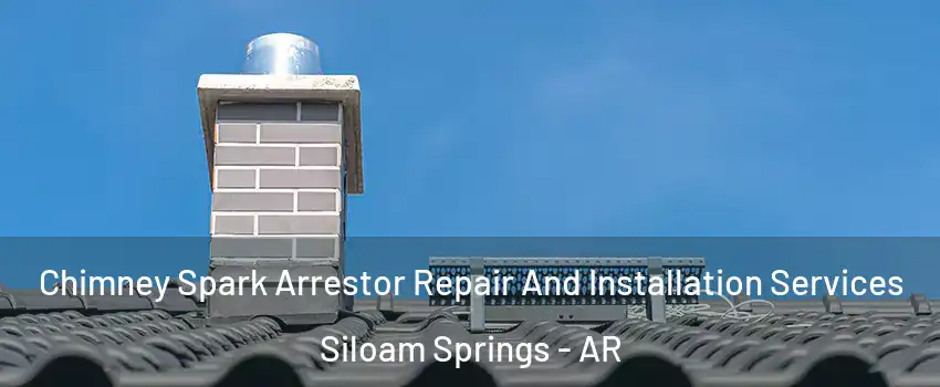  Chimney Spark Arrestor Repair And Installation Services Siloam Springs - AR