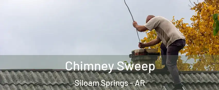  Chimney Sweep Siloam Springs - AR