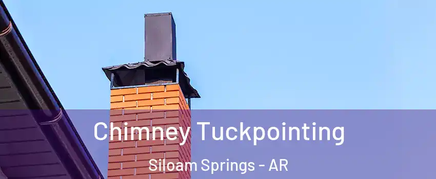  Chimney Tuckpointing Siloam Springs - AR