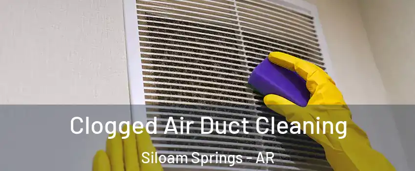  Clogged Air Duct Cleaning Siloam Springs - AR