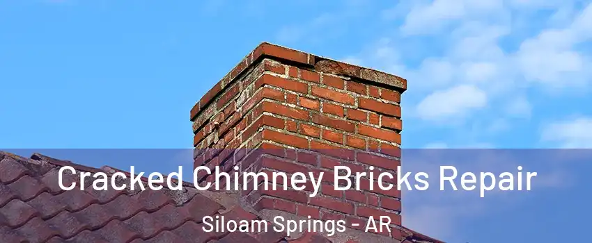  Cracked Chimney Bricks Repair Siloam Springs - AR