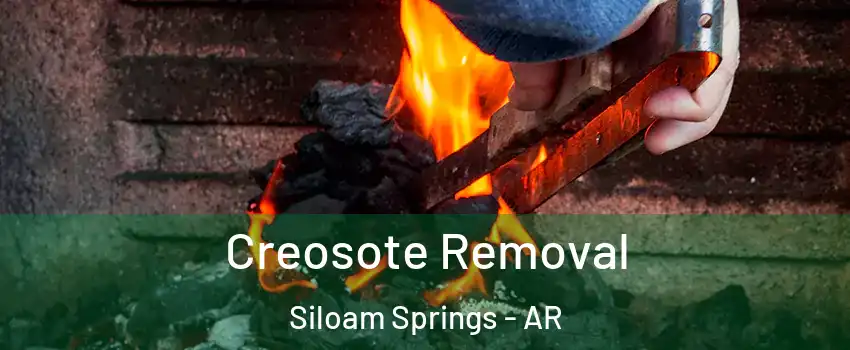  Creosote Removal Siloam Springs - AR