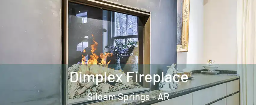  Dimplex Fireplace Siloam Springs - AR