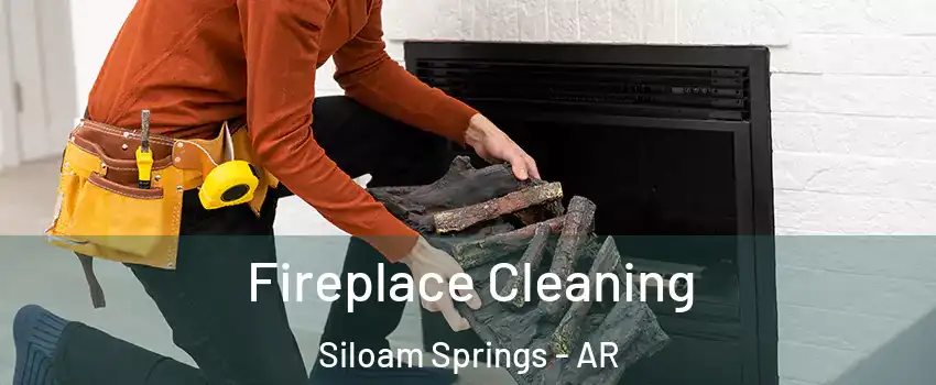  Fireplace Cleaning Siloam Springs - AR