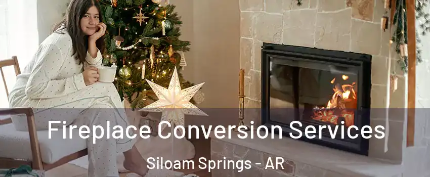  Fireplace Conversion Services Siloam Springs - AR