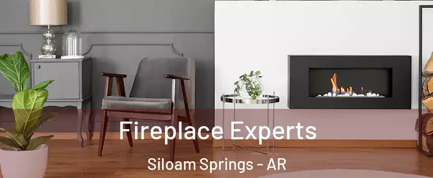  Fireplace Experts Siloam Springs - AR