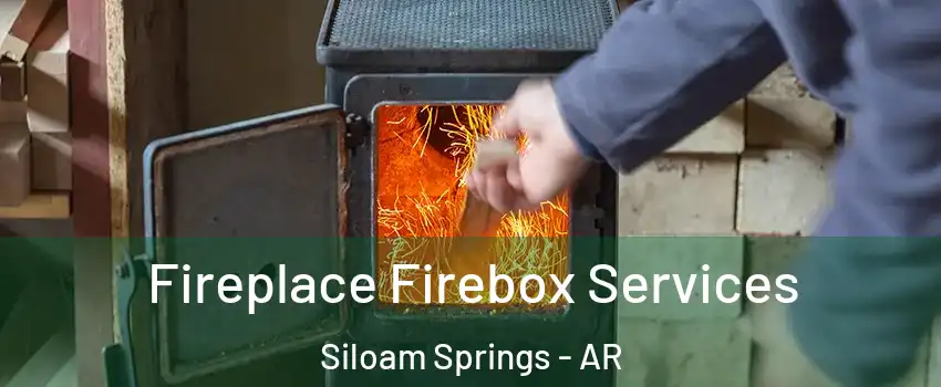  Fireplace Firebox Services Siloam Springs - AR