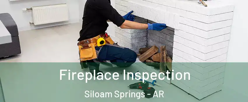  Fireplace Inspection Siloam Springs - AR