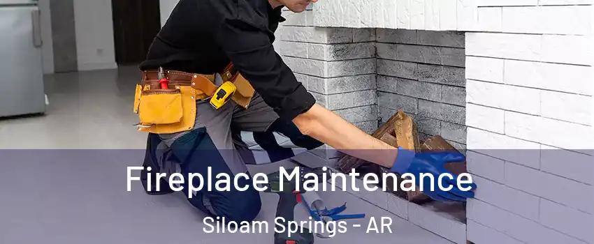 Fireplace Maintenance Siloam Springs - AR