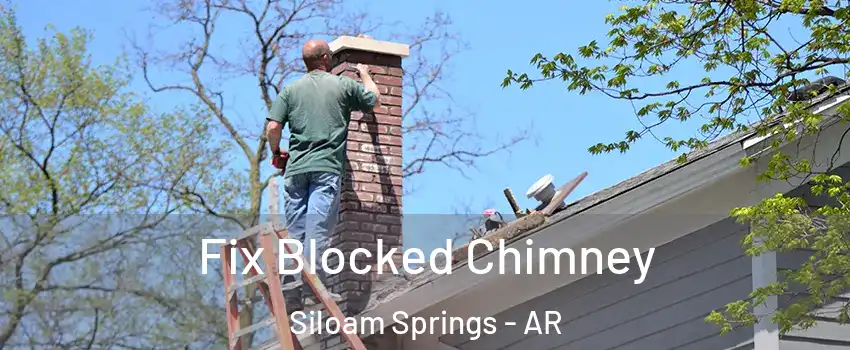 Fix Blocked Chimney Siloam Springs - AR