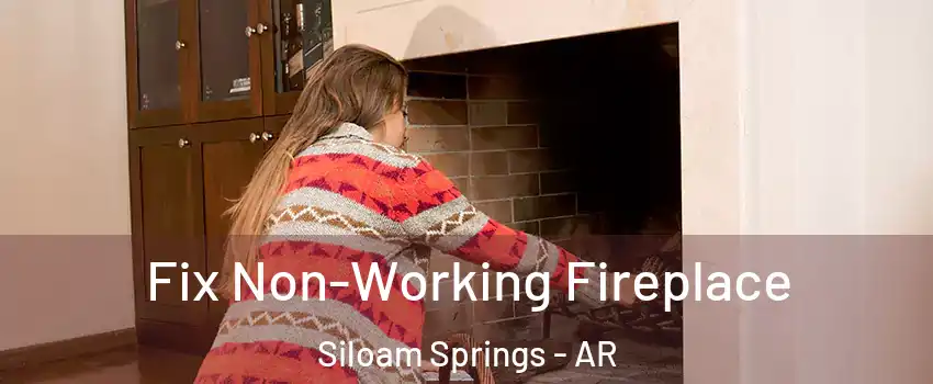  Fix Non-Working Fireplace Siloam Springs - AR