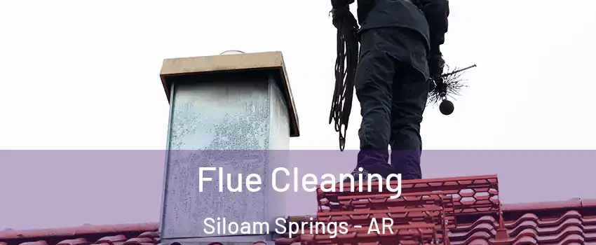  Flue Cleaning Siloam Springs - AR