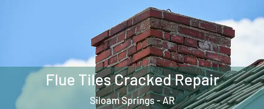  Flue Tiles Cracked Repair Siloam Springs - AR
