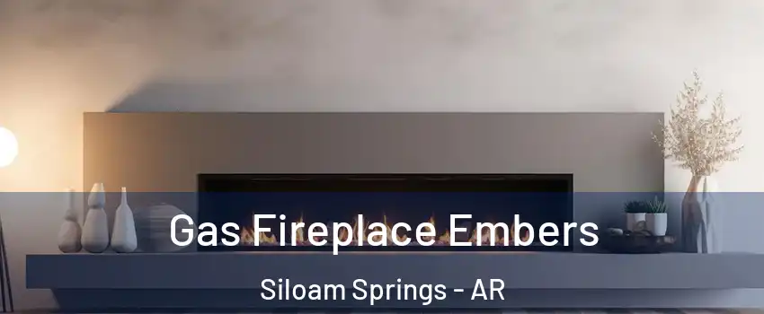  Gas Fireplace Embers Siloam Springs - AR