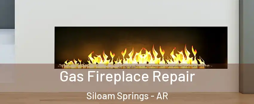  Gas Fireplace Repair Siloam Springs - AR
