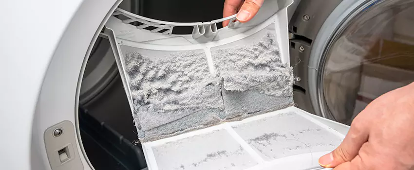 Best Dryer Lint Removal Company in Siloam Springs, Arkansas