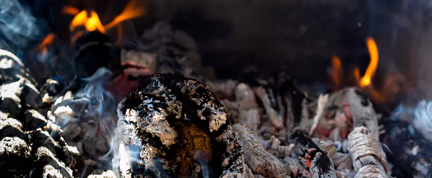 Creosote Removal Experts in Siloam Springs, AR
