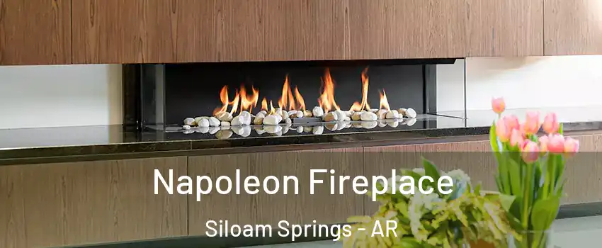  Napoleon Fireplace Siloam Springs - AR