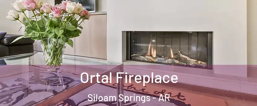  Ortal Fireplace Siloam Springs - AR
