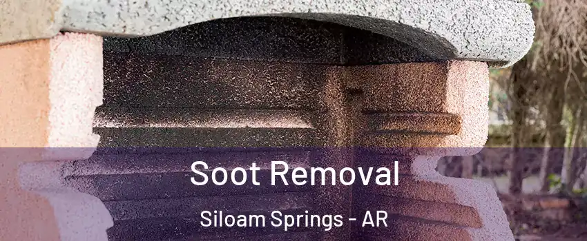  Soot Removal Siloam Springs - AR