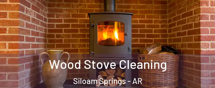  Wood Stove Cleaning Siloam Springs - AR
